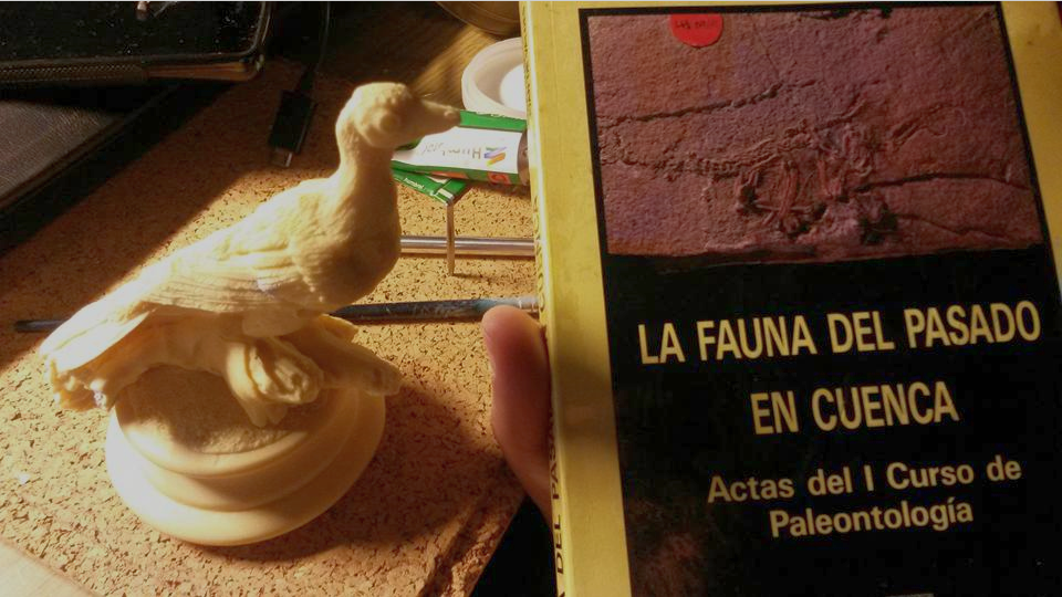 Revisando la bibliograf