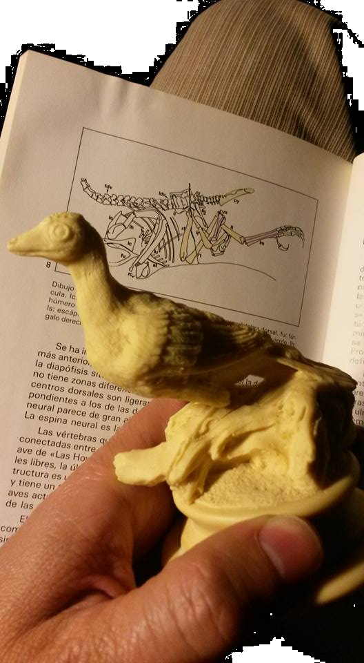 Revisando la bibliograf