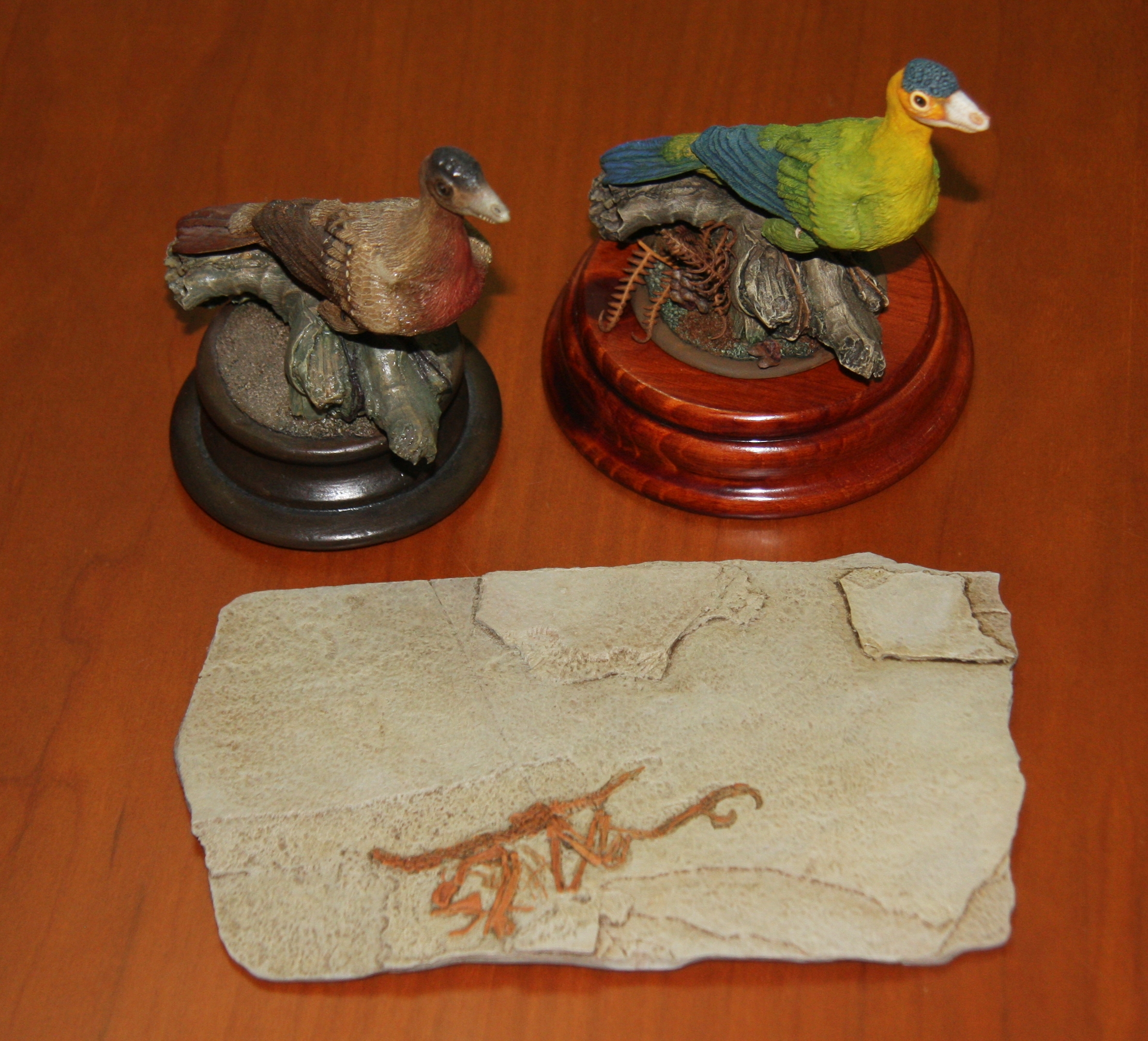 Otros patrones de color para iberomesornis