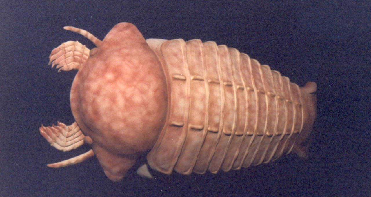 Textura fina a aerógrafo.