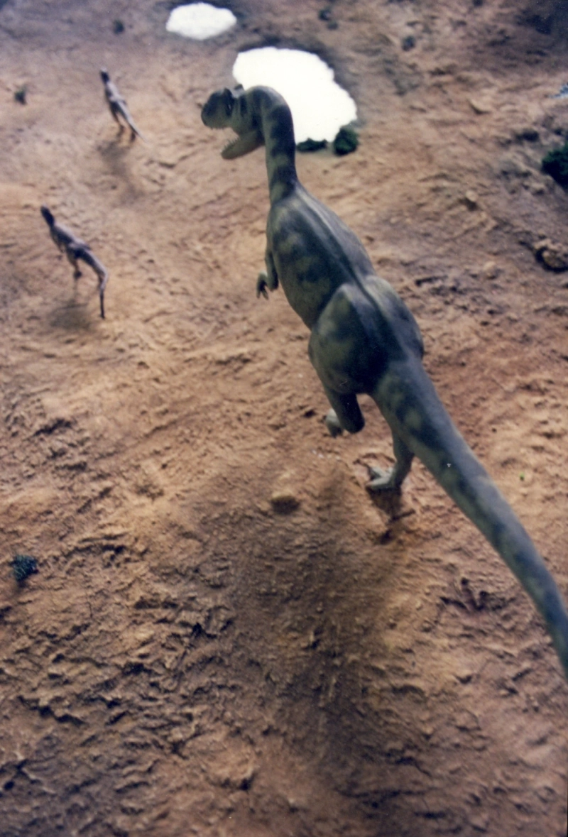 Detalle Museo Geominero