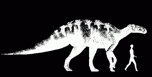 Relación iguanodon - hombre