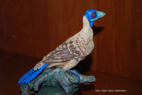 Iberomesornis%20romerali