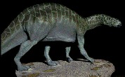 Iguanodon bernissartensis